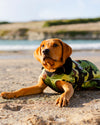 Dog wearing camo black Dogrobe lying on the beach