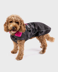 Cockapoo standing with tongue out, wearing Black Camo Pink dryrobe® Dog