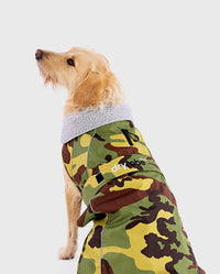 Labradoodle sitting wearing Camo Grey dryrobe® Dog