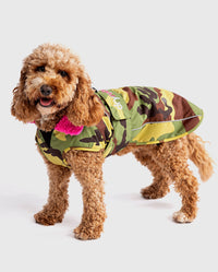 Cockapoo standing wearing Camo Pink dryrobe® Dog