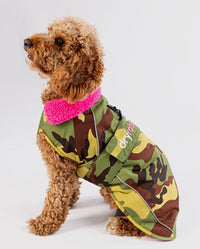 Cockapoo sitting, wearing Camo Pink dryrobe® Dog