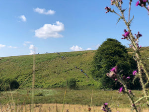 Sunshine, hills and swims at Man Vs Moor