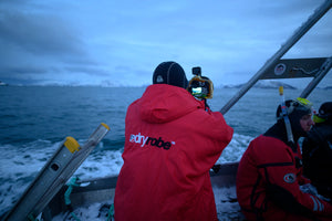 Chasing orcas in Norway