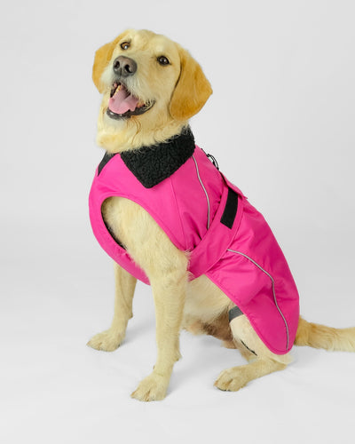 Hundemantel Pink Schwarz