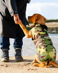 Dog wearing camo black Dogrobe holding paw up on the beach