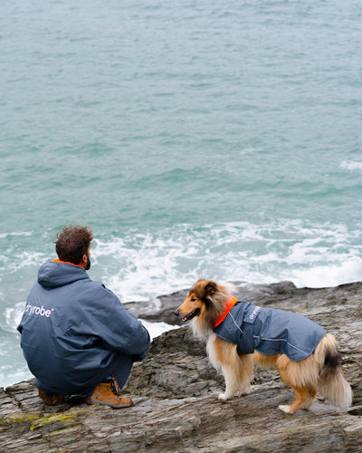 Dog wearing grey orange Dogrobe standing by owner by the sea