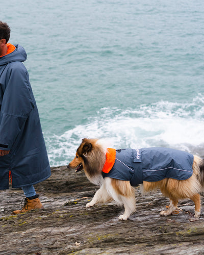 Dog wearing grey orange Dogrobe following owner by the sea