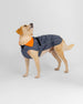 Hundemantel 