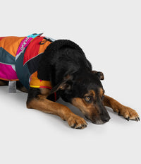 A black and tan dog lying on a light gray studio floor, wearing a brightly colored dog life jacket with orange, red, pink, yellow, and dark gray panels.
