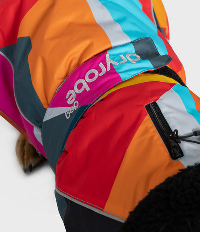 Close-up of a dog wearing a brightly colored Dryrobe dog jacket with orange, pink, red, blue, and gray panels, featuring a black zipper pocket and the Dryrobe logo.