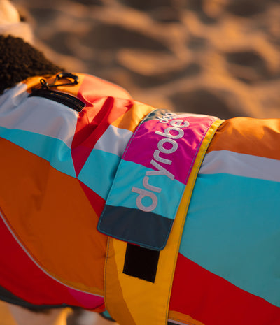 A close-up of a dog wearing a colorful Dryrobe winter coat on a sandy beach during golden hour. The coat features a vibrant geometric pattern of orange, pink, light blue, red, and yellow, with the brand name 'dryrobe' printed vertically on the pink strap.