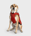Burnt Orange-Hundemantel