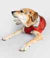 Burnt Orange-Hundemantel