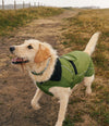 Resale - Dark Green Black Dog Coat - Medium