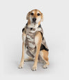 Sand Camo Dog Coat