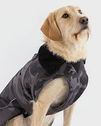 Labradoodle sitting wearing Black Camo dryrobe® Dog