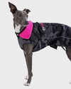 Hundemantel Schwarz-Tarnmuster-Pink