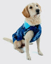 Blue Camo Blue Dog Coat