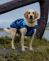 dryrobe Pour chiens