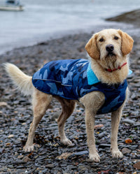 dryrobe Pour chiens