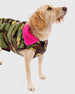dryrobe Dog