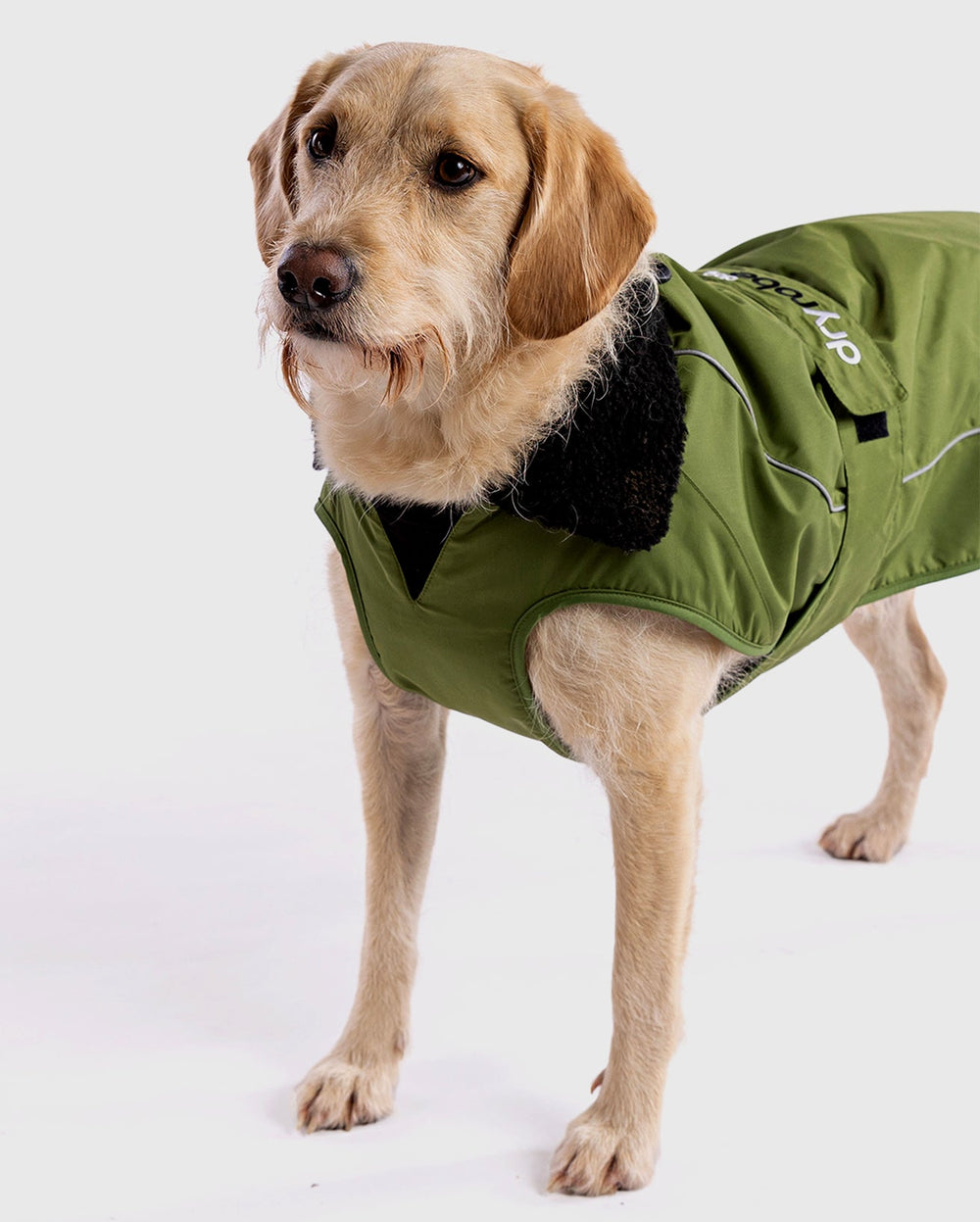 Forest Green Black Dog Coat | Dryrobe® – Dryrobe® Europe